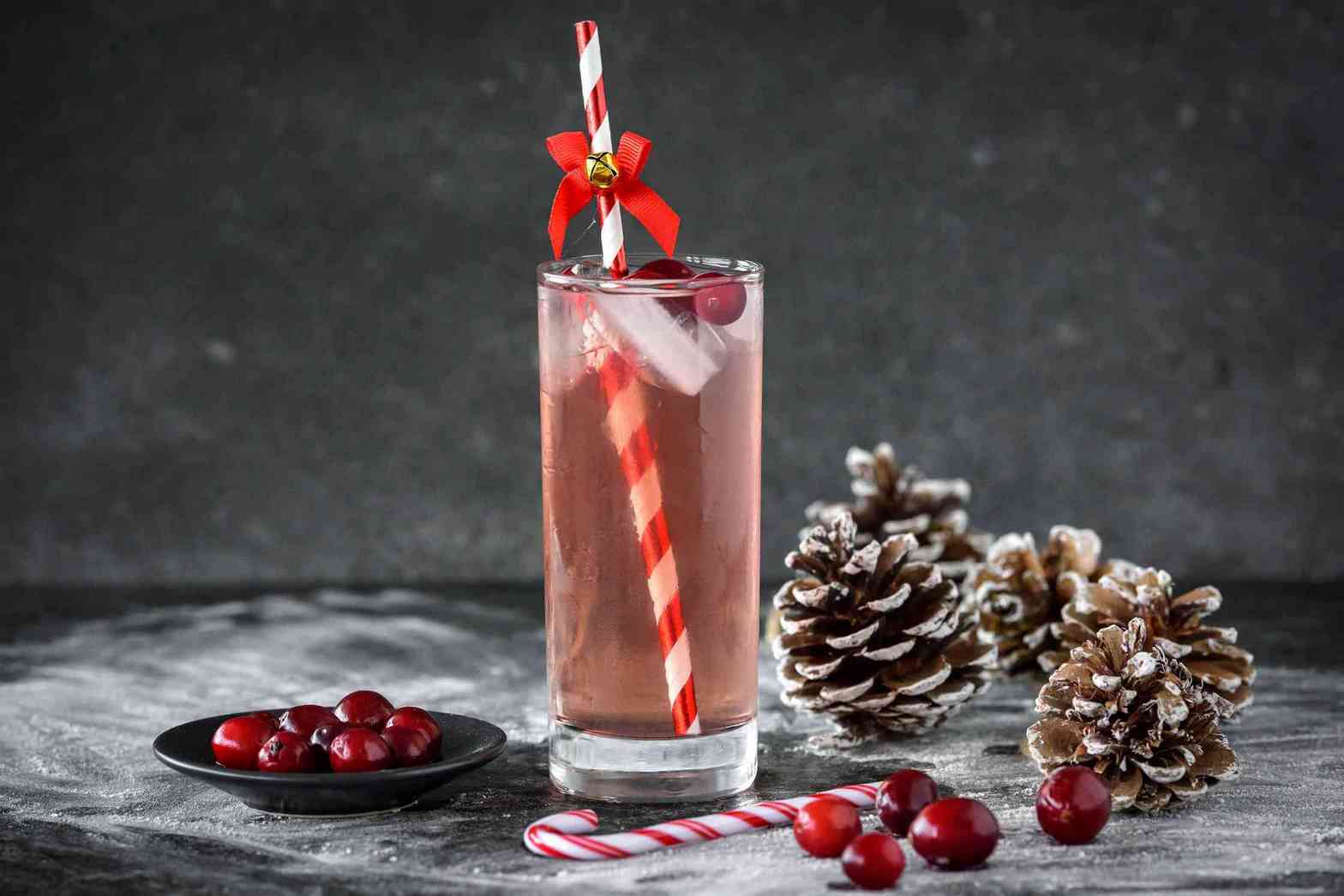 Exclusión Refinería Acostumbrar 17 recetas de cócteles navideños festivos