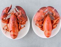 Cómo comer cangrejos Dungeness (con imágenes) - wikiHow